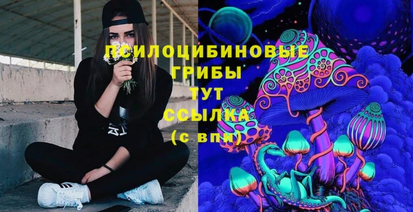 трава Михайловск
