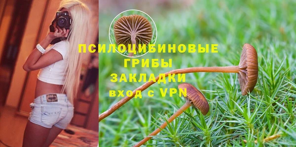 PSILOCYBIN Богородицк