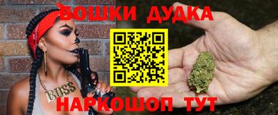 мдпв Гатчина