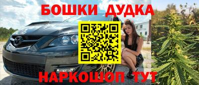 мдпв Гатчина