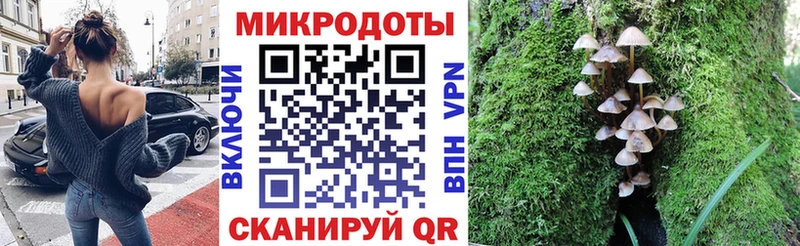 хочу наркоту  Елабуга  Псилоцибиновые грибы Cubensis 
