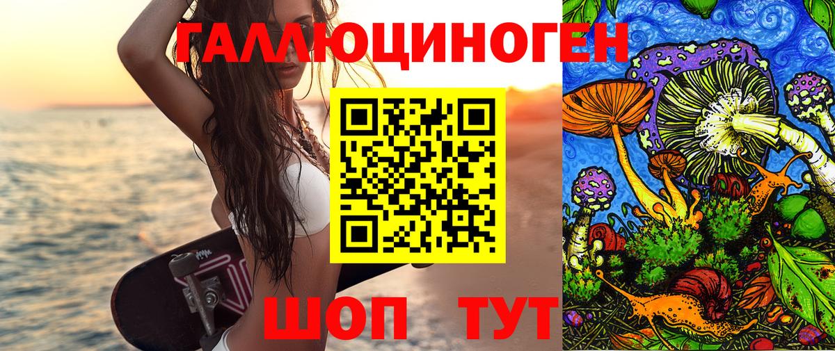 Псилоцибиновые грибы Psilocybe Елабуга
