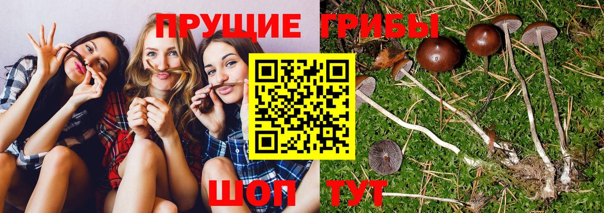 МЕТАМФЕТАМИН  Елабуга  COCAIN  Вход с VPN  Бошки Шишки  Меф МЯУ МЯУ кристаллы  MDMA  Гашиш 