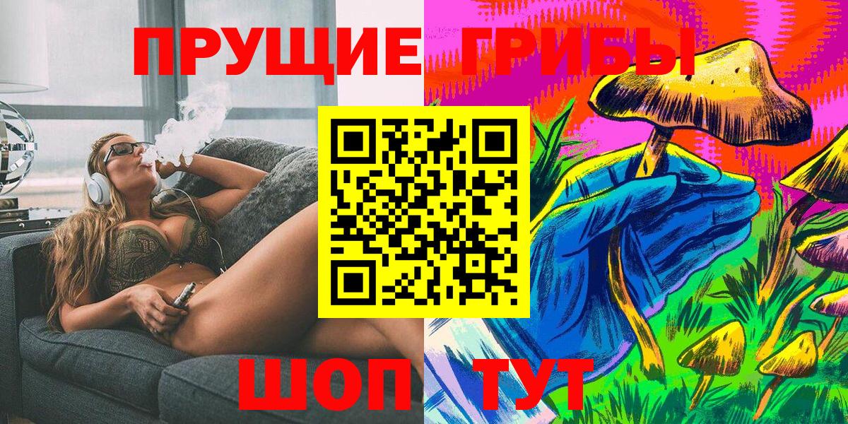 Псилоцибиновые грибы Cubensis Елабуга