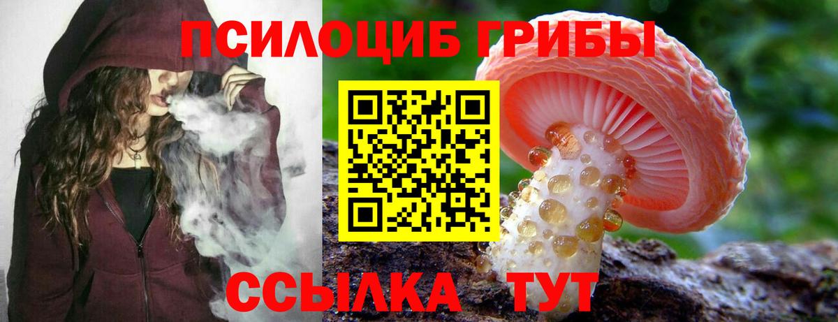 Псилоцибиновые грибы Psilocybe  Елабуга 