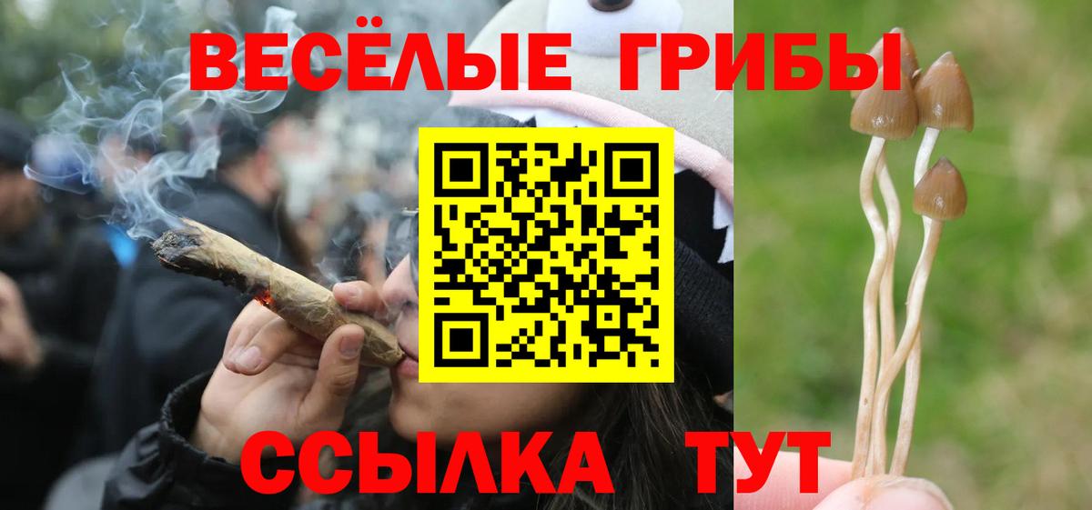 Псилоцибиновые грибы ЛСД  Псилоцибиновые грибы GOLDEN TEACHER  Елабуга  Вход с VPN 